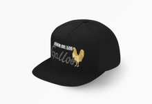 Load image into Gallery viewer, Hecho En Mexico Avioneta 727 Buena Vida Mala Fama Vida Recia Premium Mexico Snapback Gorra Mexicana