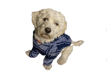 Load image into Gallery viewer, Dog Sweater for Small Medium Large Dog or Cat, Warm Soft Pet Clothes for Puppy, Small Dogs Girl or Boy, Dog Sweaters Shirt Jacket Vest Coat