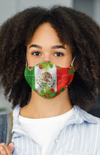 Load image into Gallery viewer, Mexico Flag Premium Face Mask