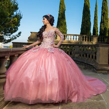 Load image into Gallery viewer, vestidos de 15 años Pink Quinceanera Dress With Long Train Lace Applique Beaded 3D Appliques Sweet 16 Dress Pageant Party Gowns