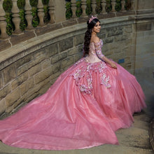 Load image into Gallery viewer, vestidos de 15 años Pink Quinceanera Dress With Long Train Lace Applique Beaded 3D Appliques Sweet 16 Dress Pageant Party Gowns