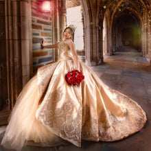 Load image into Gallery viewer, Champagne vestido de 15 anos Quinceanera Party Dresses Appliques Lace Sweet 16 Dress Graduation Evening Gowns Sweep Train