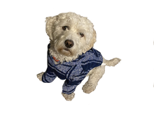 Load image into Gallery viewer, Dog Sweater for Small Medium Large Dog or Cat, Warm Soft Pet Clothes for Puppy, Small Dogs Girl or Boy, Dog Sweaters Shirt Jacket Vest Coat
