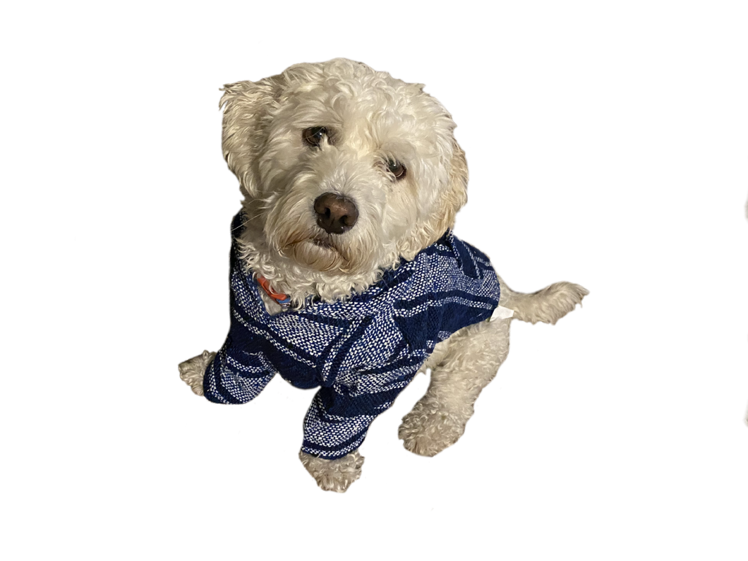 Dog Sweater for Small Medium Large Dog or Cat, Warm Soft Pet Clothes for Puppy, Small Dogs Girl or Boy, Dog Sweaters Shirt Jacket Vest Coat