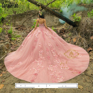 Vestidos De XV Años Pink Quinceanera Dresses Applique Beaded Mexican Girls 15 Years Birthday Dress Prom Gown 2021